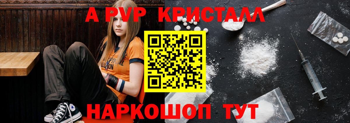 APVP СК Новосибирск
