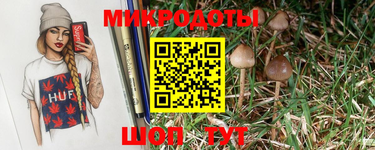 Псилоцибиновые грибы Magic Shrooms Новосибирск