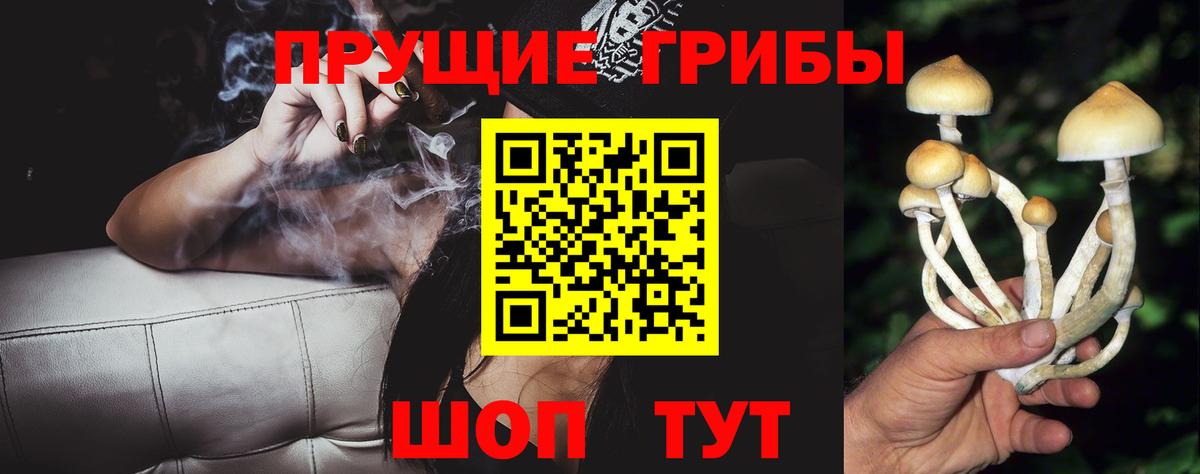 Новосибирск  Галлюциногенные грибы Psilocybe  Вход с VPN 