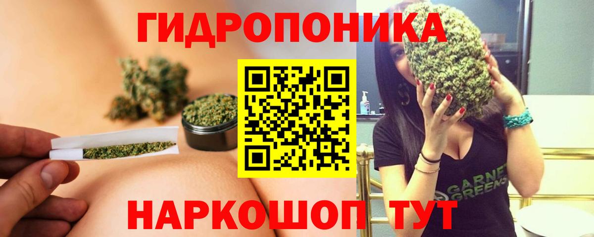 Канабис план  Бошки марихуана гибрид  Вход с VPN  Новосибирск  Бошки Шишки конопля  Конопля Bruce Banner 